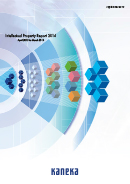 Intellectual Property Report