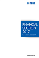 Financial Section2017