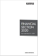 Financial Section2020