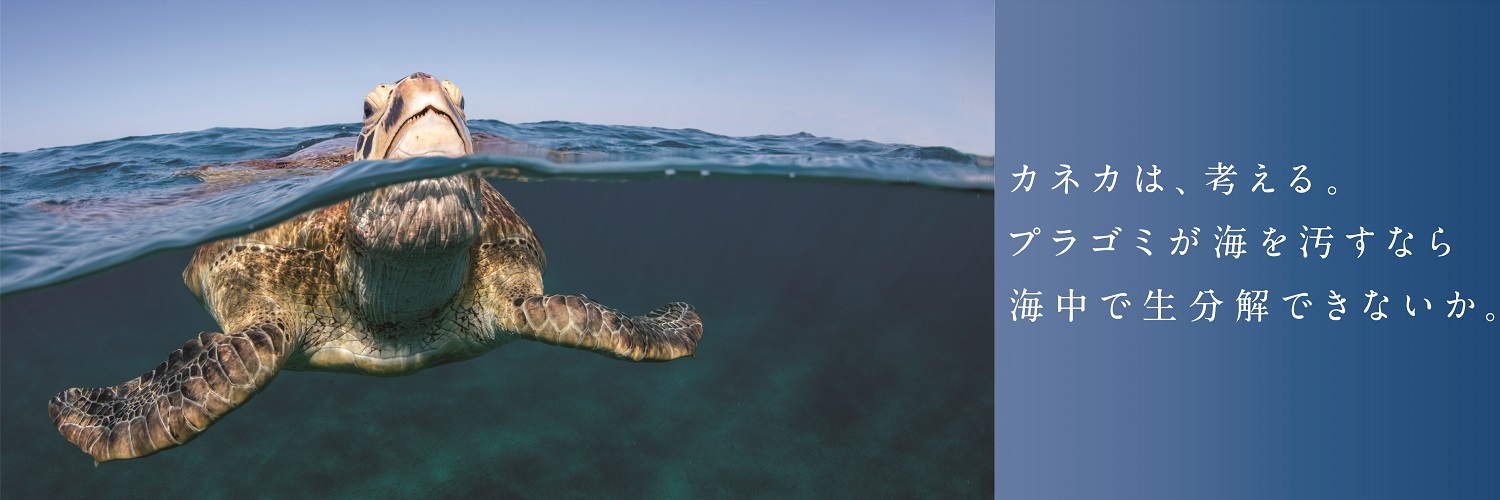 カネカ生分解性バイオポリマー Green Planet®のご紹介　カネカは、考える。プラゴミが海を汚すなら海中で生分解できないか。