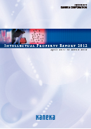 Intellectual Property Report