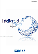 Intellectual Property Report