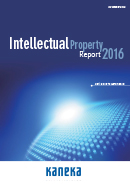 Intellectual Property Report