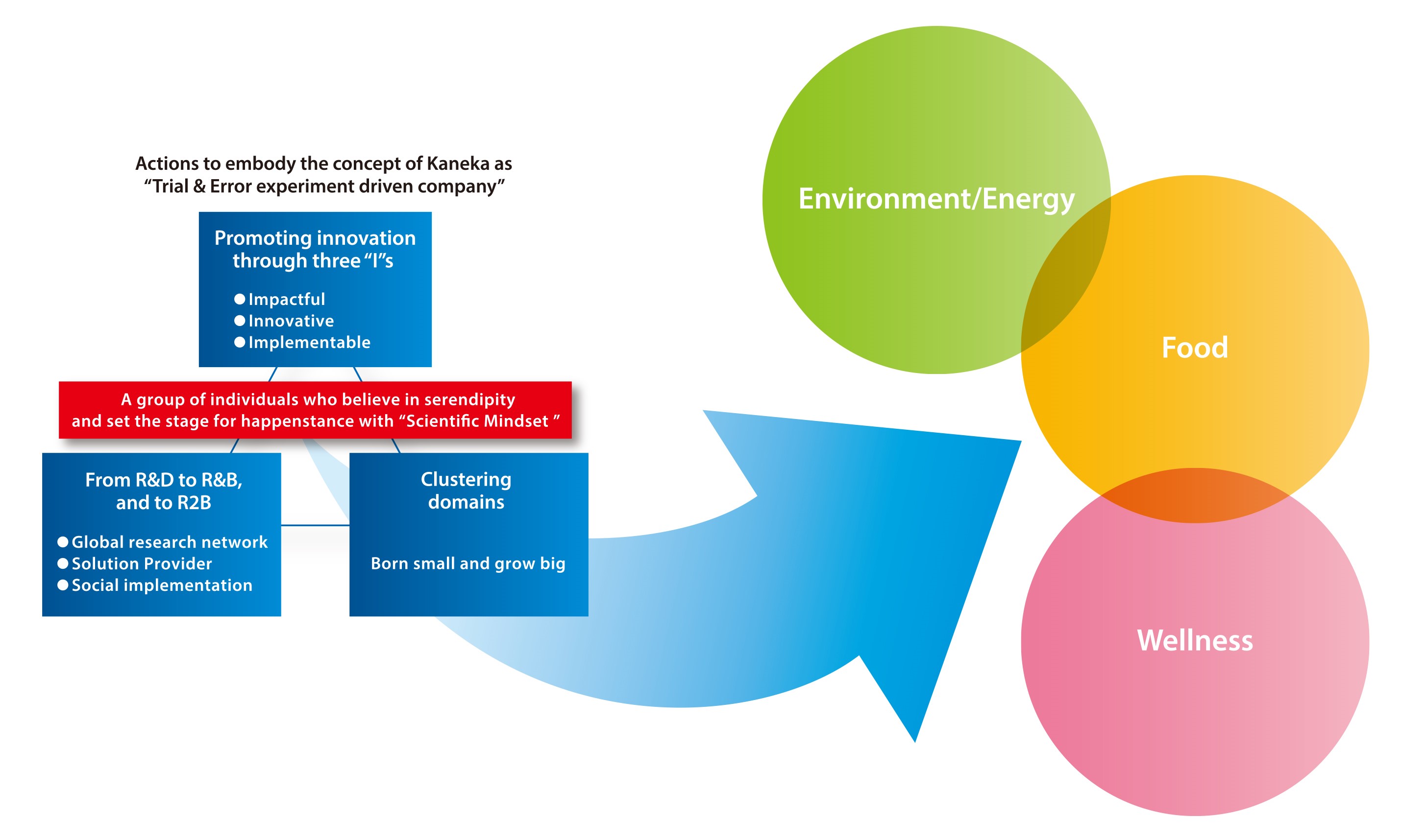 Actions to embody the concept of Kaneka as 'Trial & Error experiment driven company