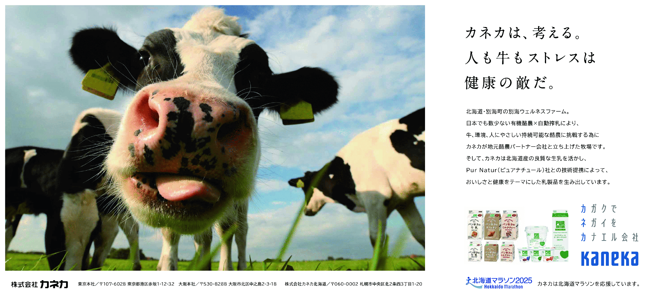 カネカは、考える。人も牛もストレスは健康の敵だ。