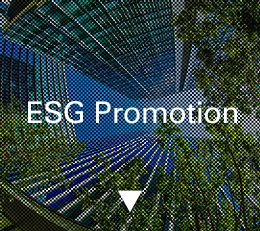 ESG Promotion