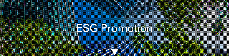 ESG Promotion
