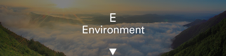 Environment