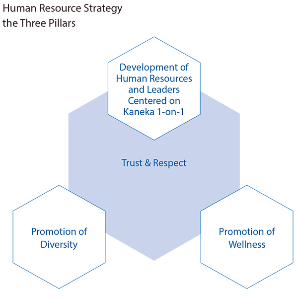 The Three Pillars of the Human Resource Strategy