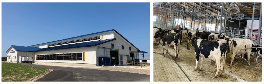 New Cattle Barn in Betsukai Wellness Farm（Betsukai-cho, Notsuke-gun, Hokkaido）