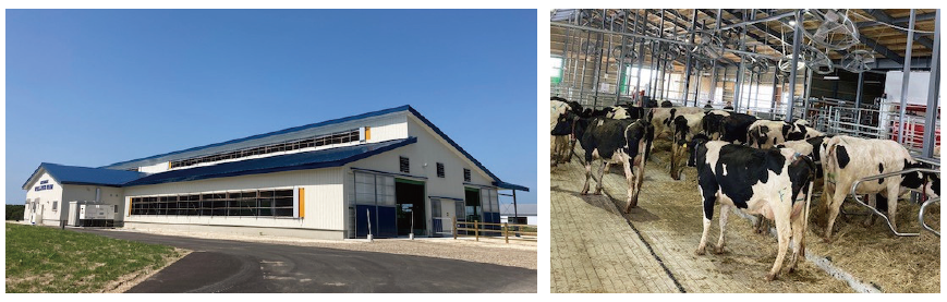 New Cattle Barn in Betsukai Wellness Farm(Betsukai-cho, Notsuke-gun, Hokkaido)