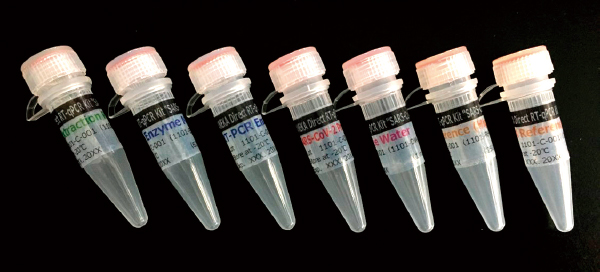 Photo:PCR test kit capable of detecting the novel coronavirus within an hour