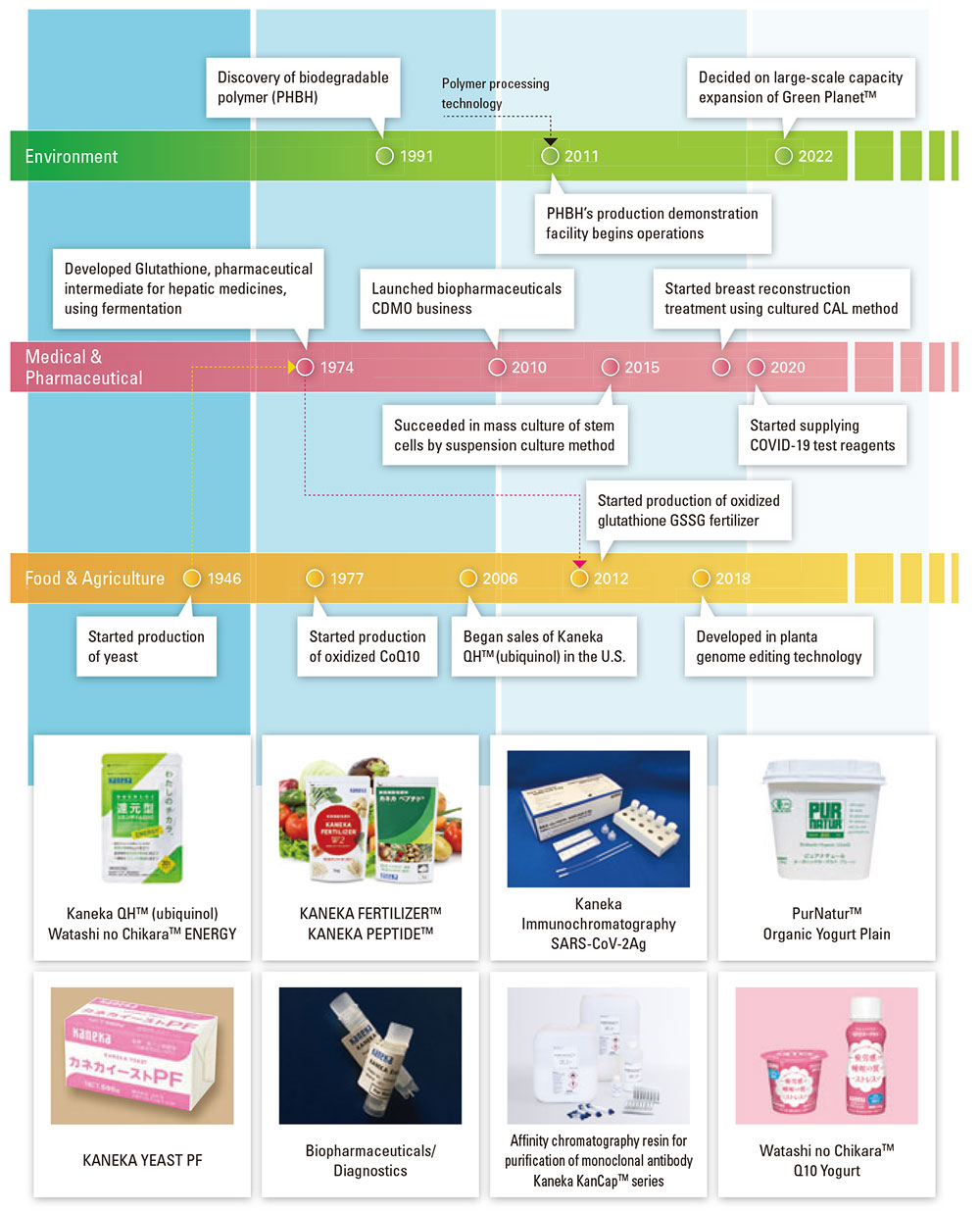 Kaneka Is a Leader in Biomanufacturing