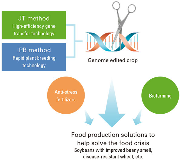 Biomanufacturing to Break Through the Food Crisis