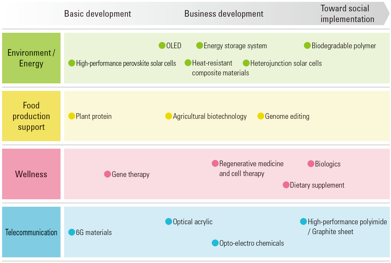 R&B Strategy (Selection and Concentration for Resource Allocation and Key Themes)