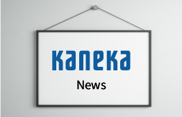 New Year’s Greetings from the President (Summary)