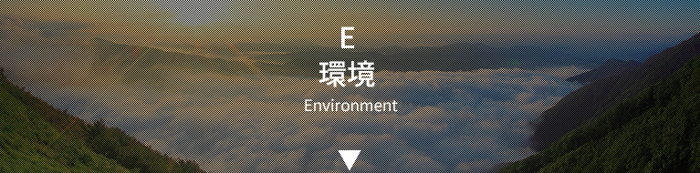 環境