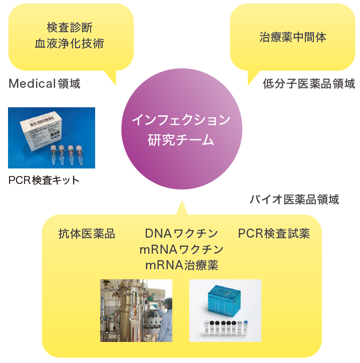 インフェクション研究チーム