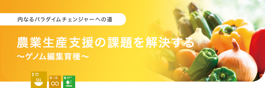 内なるパラダイムチェンジャーへの道：農業生産支援の課題を解決する ～ゲノム編集育種～