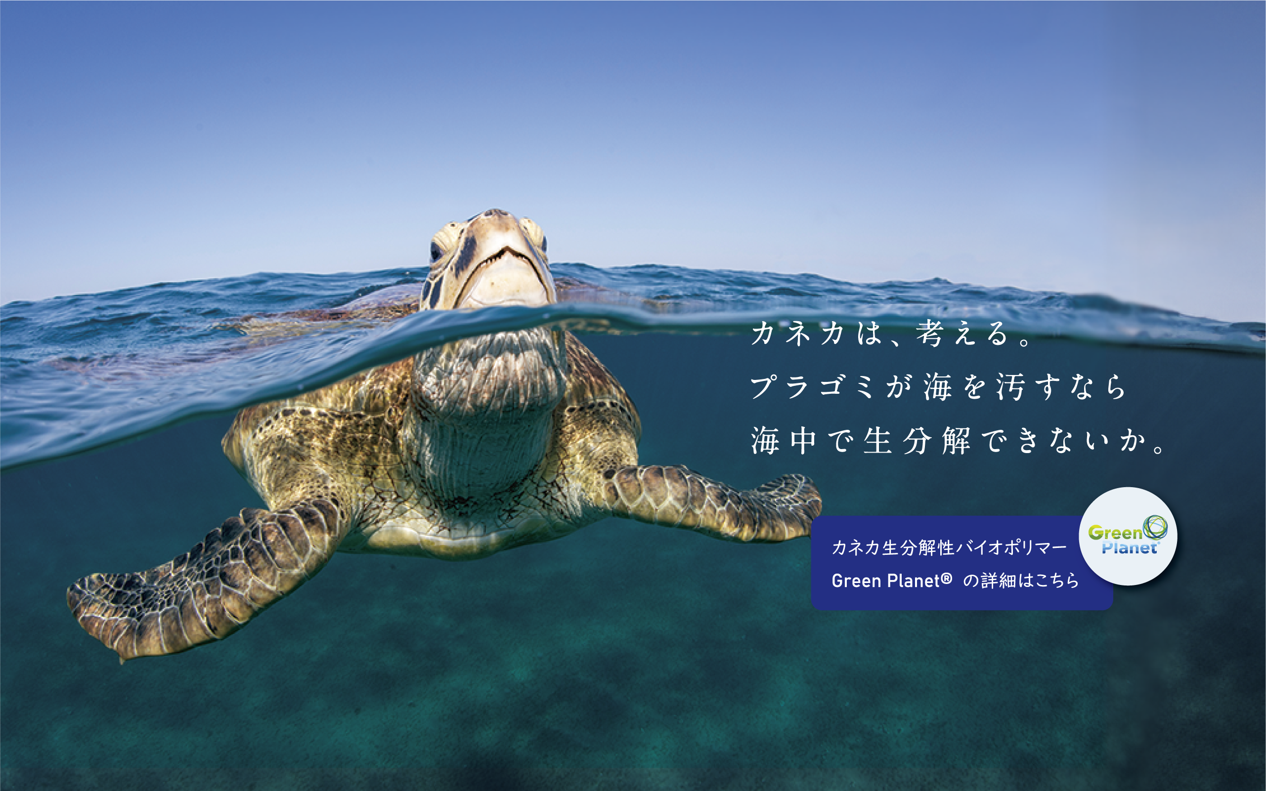 カネカ生分解性バイオポリマー Green Planet®　カネカは、考える。プラゴミが海を汚すなら海中で生分解できないか。