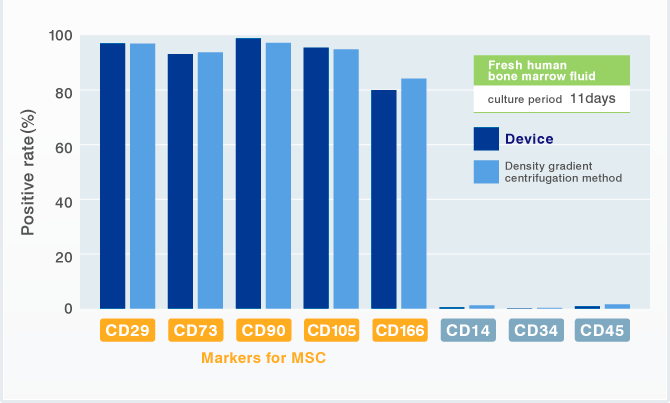 [Illustrated] Surface markers present on harvested MSCs