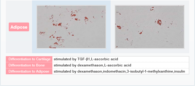 [Illustrated] Comparison with conventional methods