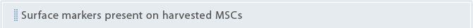 Surface markers present on harvested MSCs