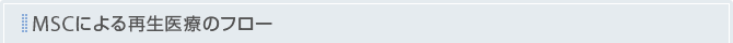 MSCによる再生医療のフロー