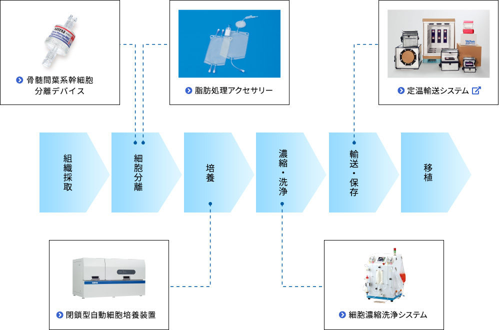 組織採取から移植までの再生・細胞医療プロセス図