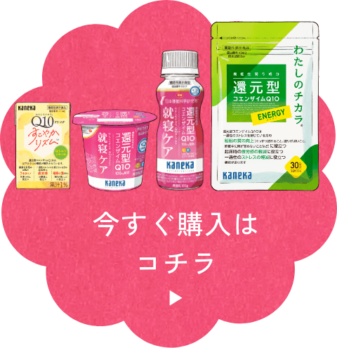 今すぐ購入はコチラ