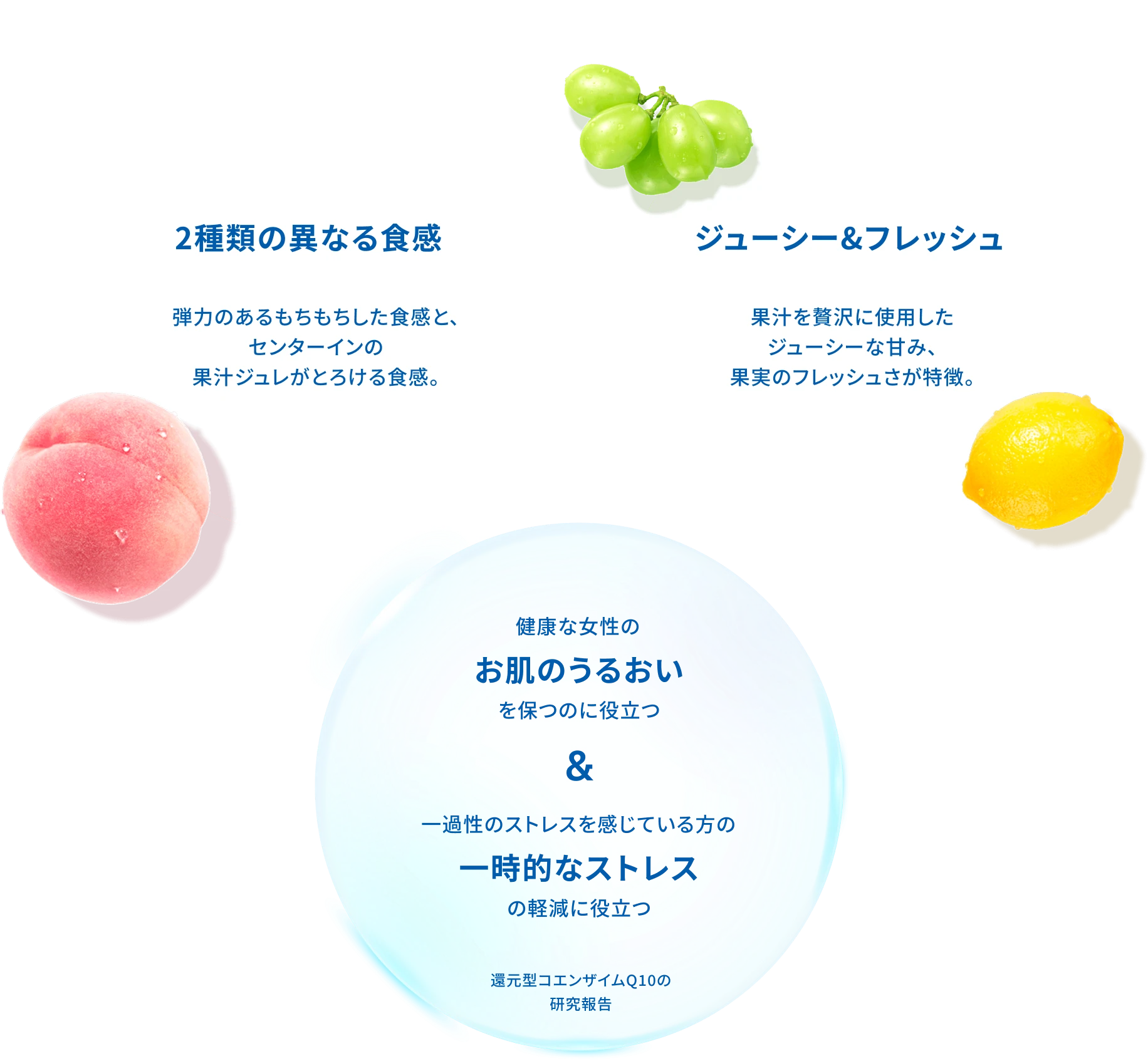 商品の特徴
