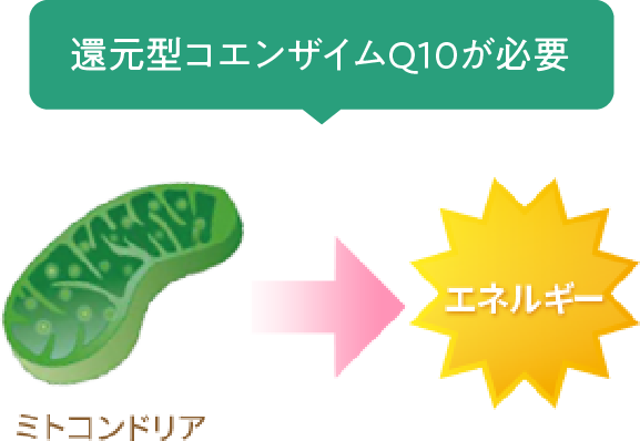 還元型コエンザイムQ10が必要