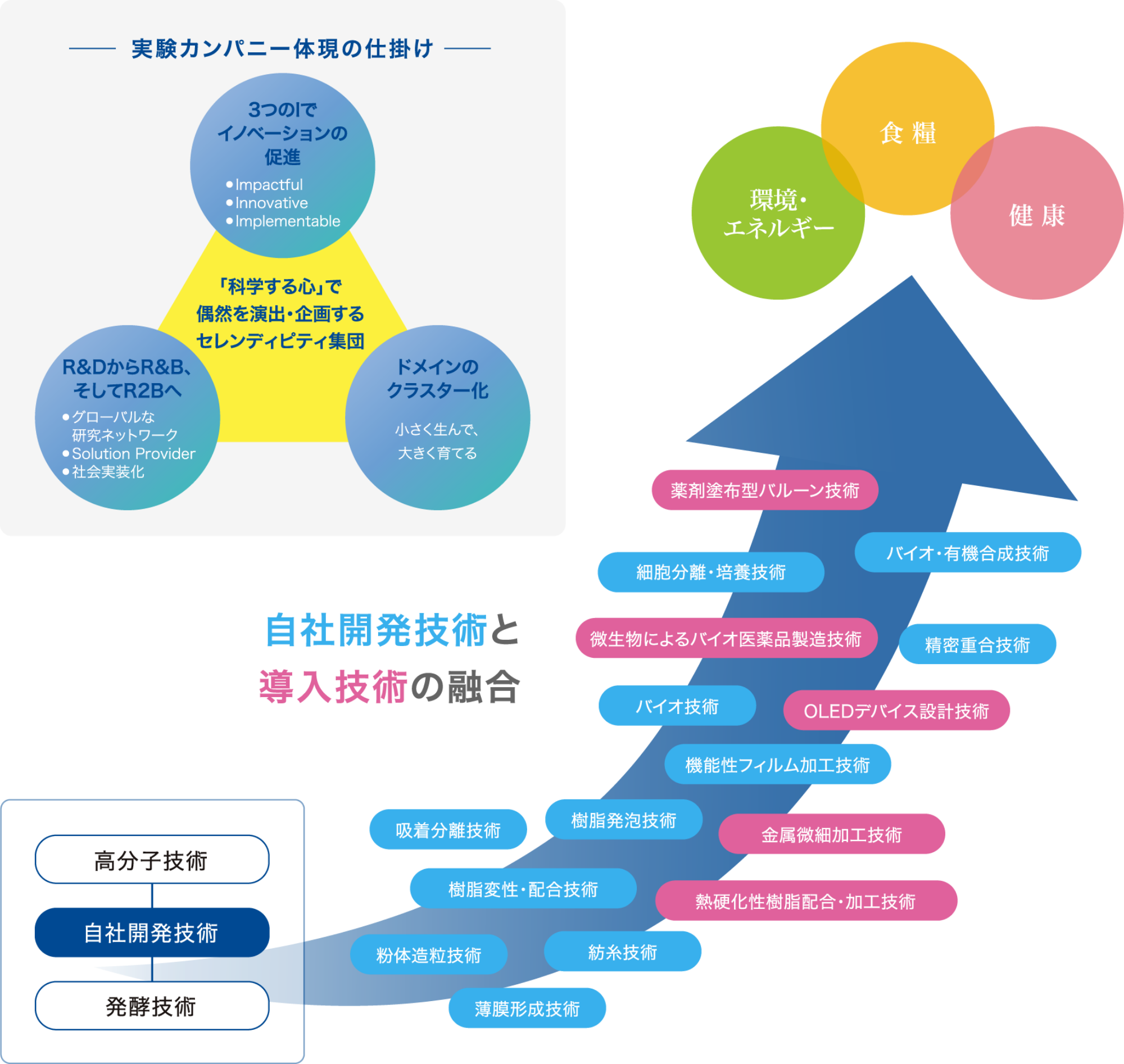 実験カンパニー体現の仕掛けの図