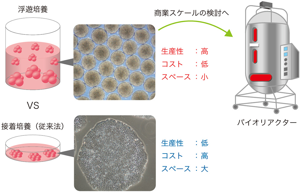 バイオリアクターイメージ図