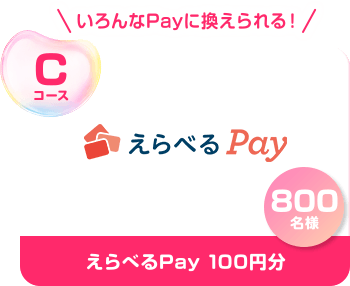 Cコース いろんなPayに換えられる！ えらべるPay 100円分 800名様